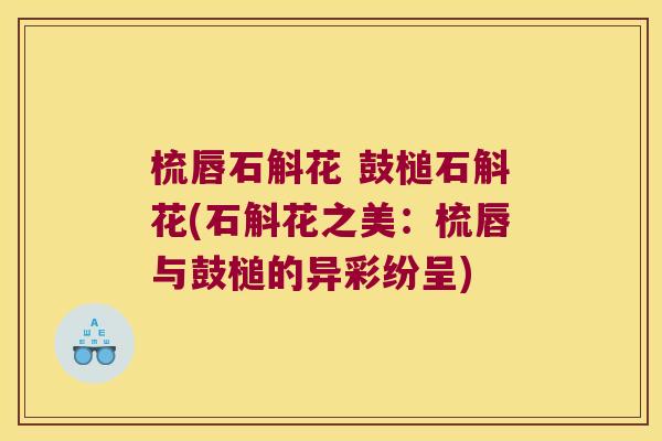 梳唇石斛花 鼓槌石斛花(石斛花之美：梳唇与鼓槌的异彩纷呈)