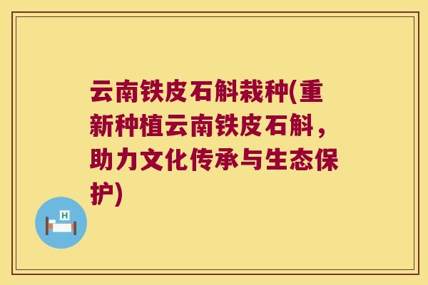 云南铁皮石斛栽种(重新种植云南铁皮石斛,助力文化传承与生态保护) 云南铁皮石斛栽种(重新种植云南铁皮石斛,助力文化传承与生态保护)
