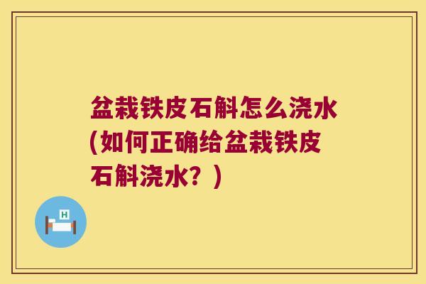 盆栽铁皮石斛怎么浇水(如何正确给盆栽铁皮石斛浇水？)