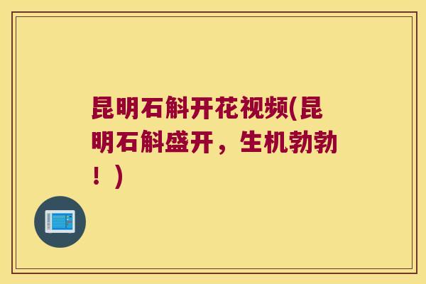 昆明石斛开花视频(昆明石斛盛开，生机勃勃！)