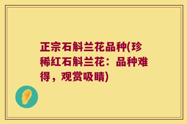 正宗石斛兰花品种(珍稀红石斛兰花：品种难得，观赏吸睛)