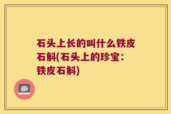 石头上长的叫什么铁皮石斛(石头上的珍宝：铁皮石斛)