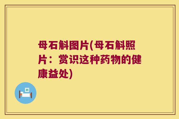 母石斛图片(母石斛照片：赏识这种药物的健康益处)