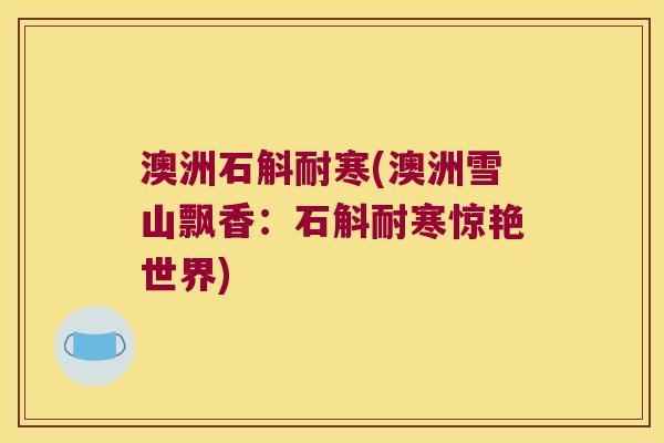 澳洲石斛耐寒(澳洲雪山飘香：石斛耐寒惊艳世界)
