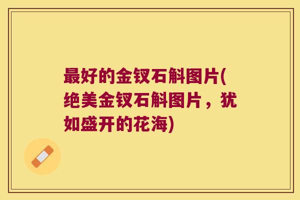 好的金钗石斛图片(绝美金钗石斛图片,犹如盛开的花海) 好的金钗石斛图片(绝美金钗石斛图片,犹如盛开的花海)