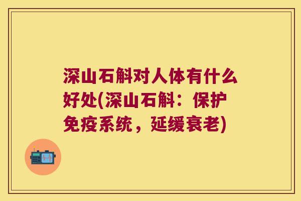 深山石斛对人体有什么好处(深山石斛：保护免疫系统，延缓衰老)