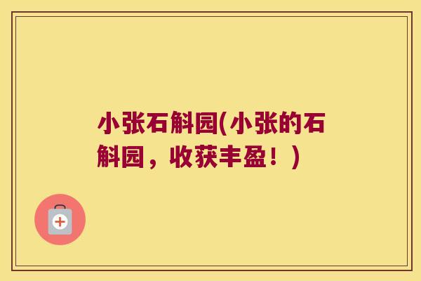 小张石斛园(小张的石斛园，收获丰盈！)