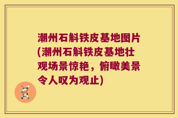 潮州石斛铁皮基地图片(潮州石斛铁皮基地壮观场景惊艳，俯瞰美景令人叹为观止)