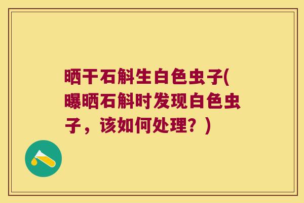 晒干石斛生白色虫子(曝晒石斛时发现白色虫子，该如何处理？)