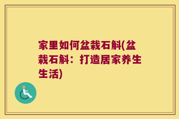 家里如何盆栽石斛(盆栽石斛：打造居家养生生活)