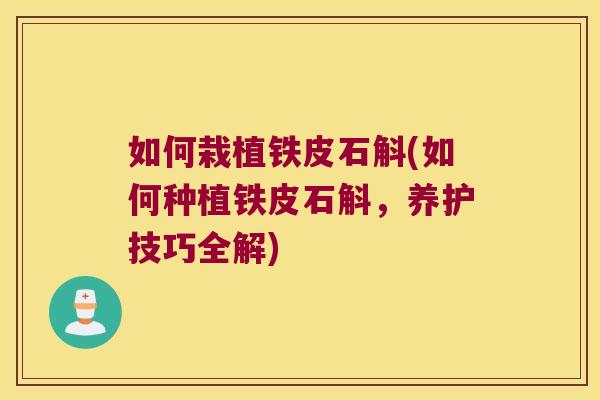 如何栽植铁皮石斛(如何种植铁皮石斛，养护技巧全解)