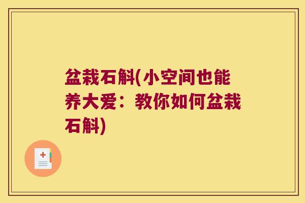 盆栽石斛(小空间也能养大爱：教你如何盆栽石斛)