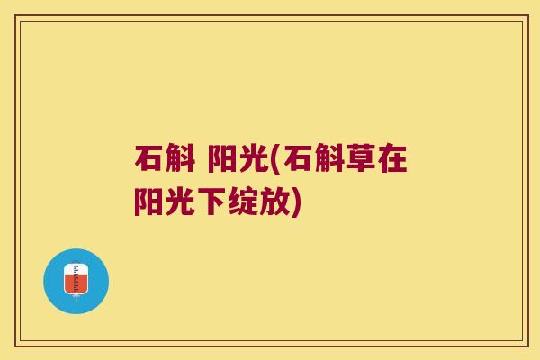 石斛 阳光(石斛草在阳光下绽放)