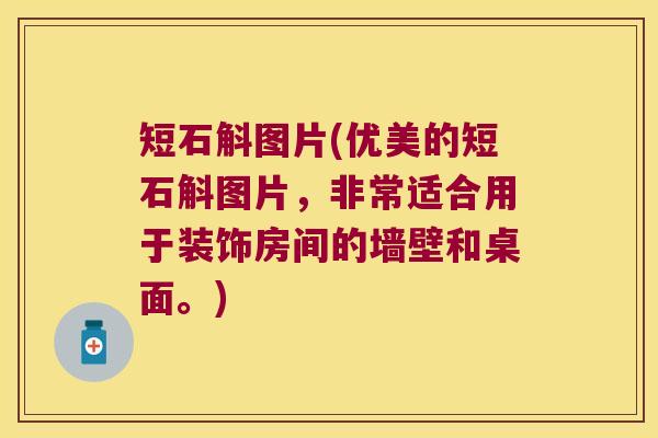 短石斛图片(优美的短石斛图片，非常适合用于装饰房间的墙壁和桌面。)
