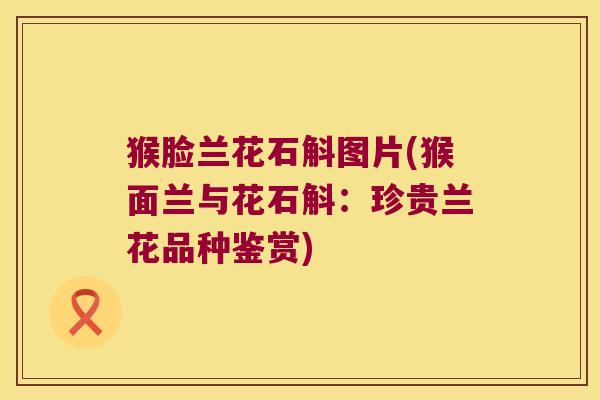 猴脸兰花石斛图片(猴面兰与花石斛：珍贵兰花品种鉴赏)