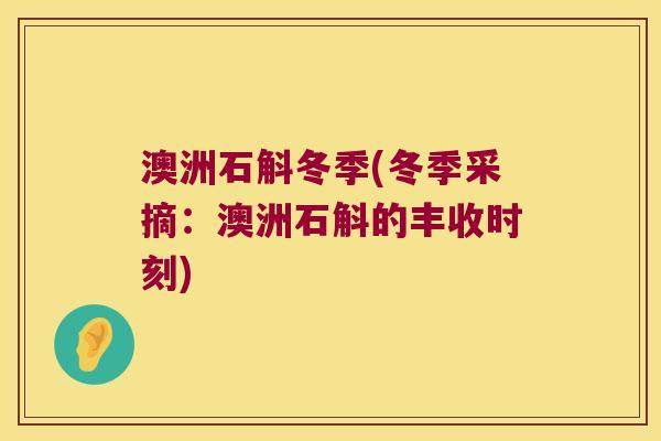 澳洲石斛冬季(冬季采摘：澳洲石斛的丰收时刻)