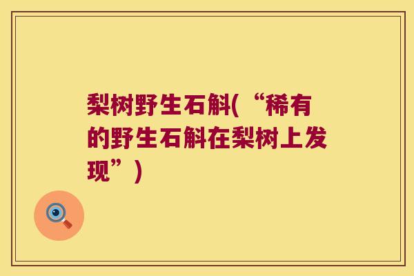 梨树野生石斛(“稀有的野生石斛在梨树上发现”)