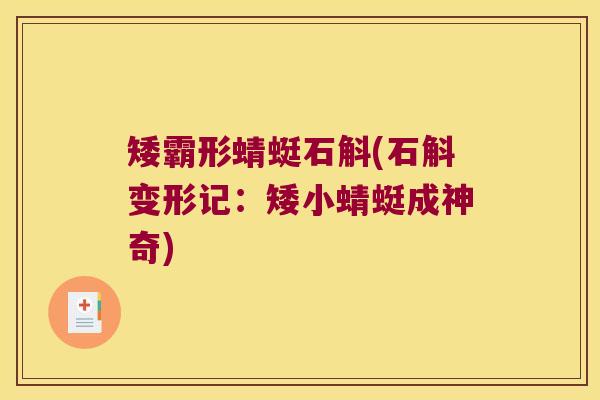 矮霸形蜻蜓石斛(石斛变形记：矮小蜻蜓成神奇)