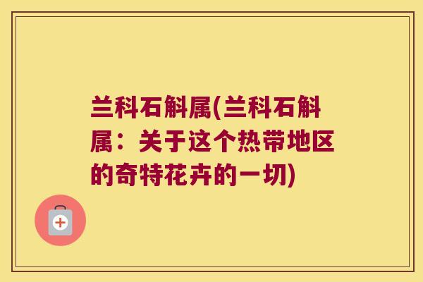 兰科石斛属(兰科石斛属：关于这个热带地区的奇特花卉的一切)