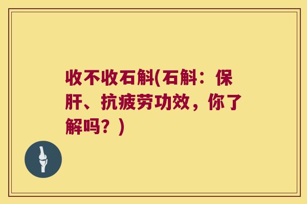 收不收石斛(石斛：、功效，你了解吗？)