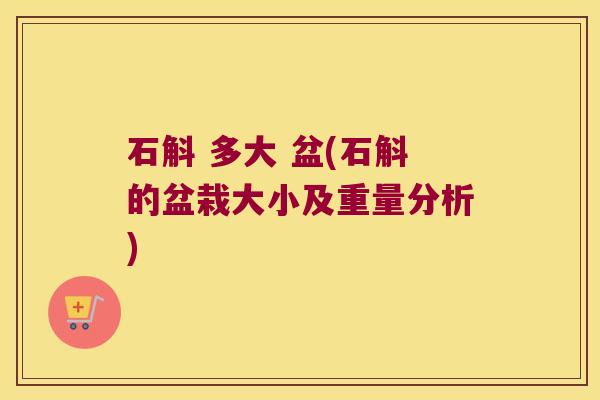石斛 多大 盆(石斛的盆栽大小及重量分析)