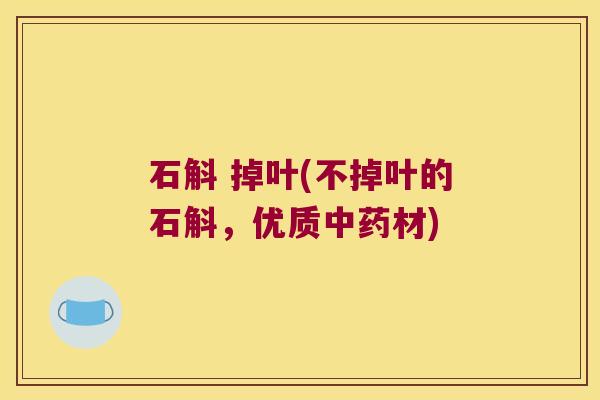石斛 掉叶(不掉叶的石斛，优质材)