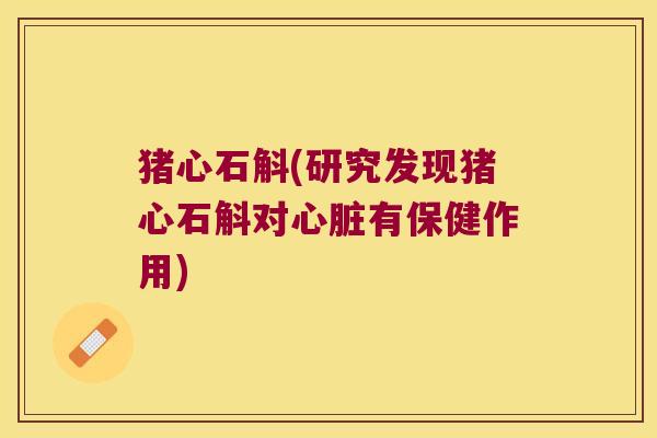 猪心石斛(研究发现猪心石斛对心脏有保健作用)