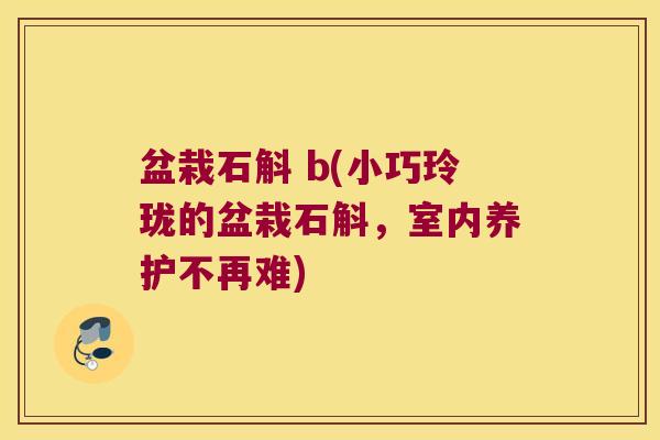 盆栽石斛 b(小巧玲珑的盆栽石斛，室内养护不再难)