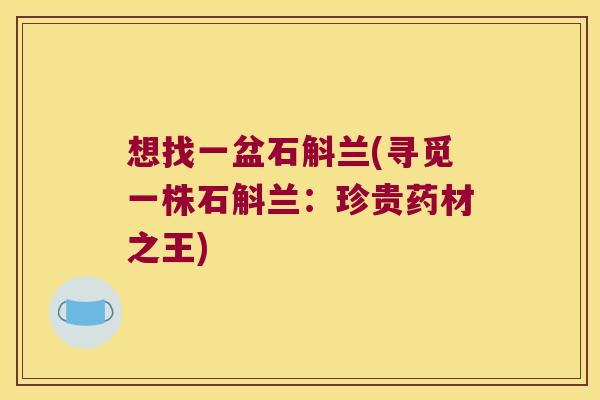 想找一盆石斛兰(寻觅一株石斛兰：珍贵药材之王)