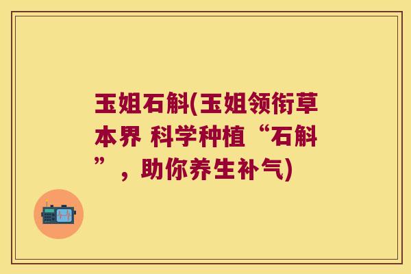 玉姐石斛(玉姐领衔草本界 科学种植“石斛”，助你养生补气)