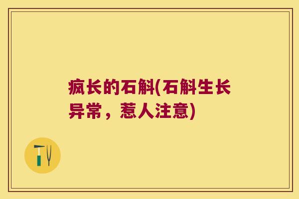 疯长的石斛(石斛生长异常，惹人注意)