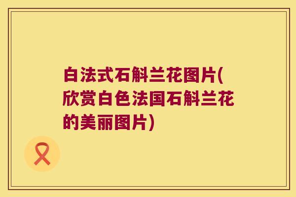 白法式石斛兰花图片(欣赏白色法国石斛兰花的美丽图片)