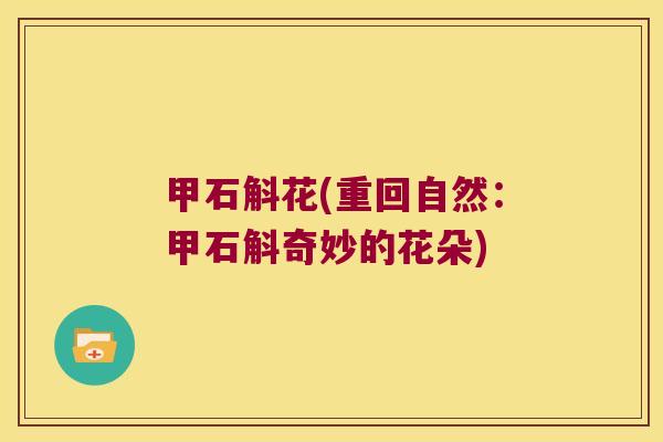甲石斛花(重回自然：甲石斛奇妙的花朵)