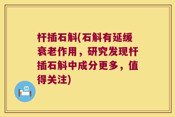 杆插石斛(石斛有延缓衰老作用，研究发现杆插石斛中成分更多，值得关注)