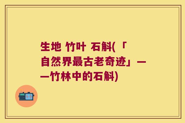 生地 竹叶 石斛(「自然界最古老奇迹」——竹林中的石斛)