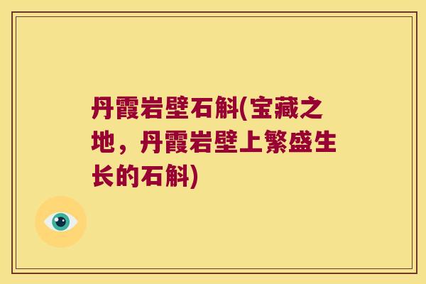 丹霞岩壁石斛(宝藏之地，丹霞岩壁上繁盛生长的石斛)