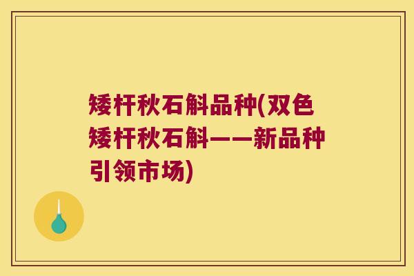 矮杆秋石斛品种(双色矮杆秋石斛——新品种引领市场)