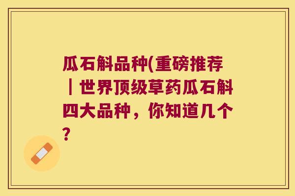 瓜石斛品种(重磅推荐|世界草药瓜石斛四大品种,你知道几个? 瓜石斛品种(重磅推荐|世界草药瓜石斛四大品种,你知道几个?