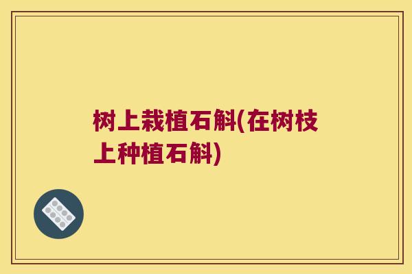树上栽植石斛(在树枝上种植石斛)