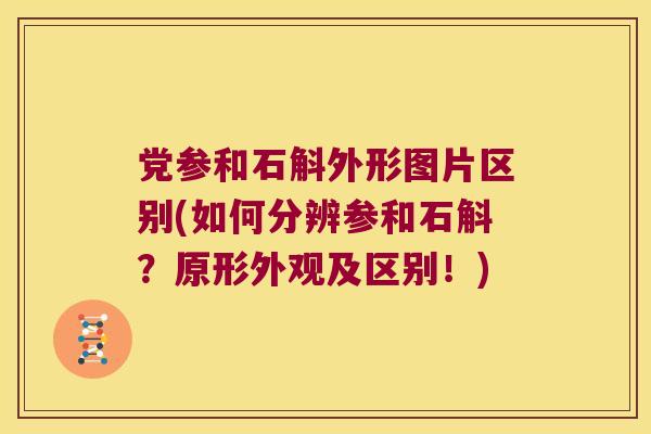 党参和石斛外形图片区别(如何分辨参和石斛?原形外观及区别!) 党参和石斛外形图片区别(如何分辨参和石斛?原形外观及区别!)