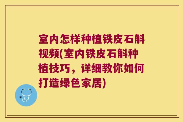 室内怎样种植铁皮石斛视频(室内铁皮石斛种植技巧，详细教你如何打造绿色家居)