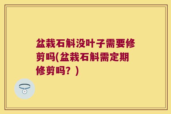 盆栽石斛没叶子需要修剪吗(盆栽石斛需定期修剪吗？)