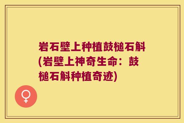 岩石壁上种植鼓槌石斛(岩壁上神奇生命：鼓槌石斛种植奇迹)
