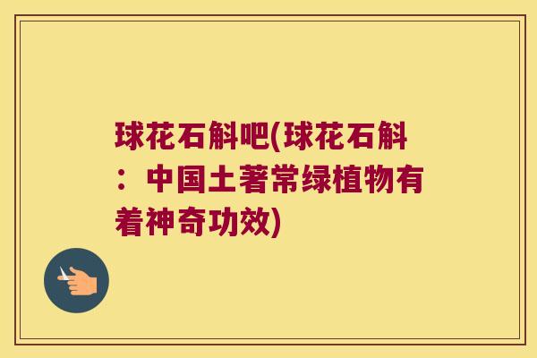 球花石斛吧(球花石斛：中国土著常绿植物有着神奇功效)