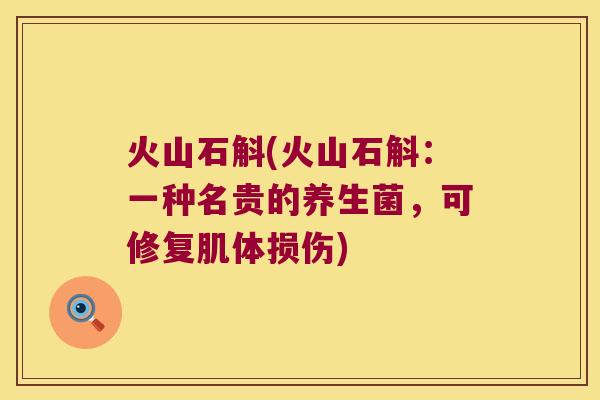 火山石斛(火山石斛:一种名贵的养生菌,可修复肌体损伤) 火山石斛(火山石斛:一种名贵的养生菌,可修复肌体损伤)