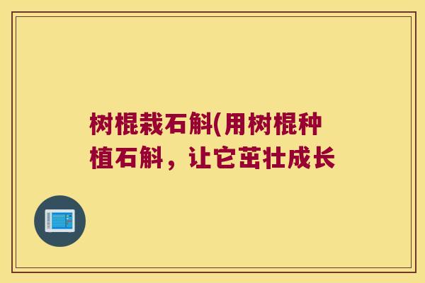 树棍栽石斛(用树棍种植石斛，让它茁壮成长