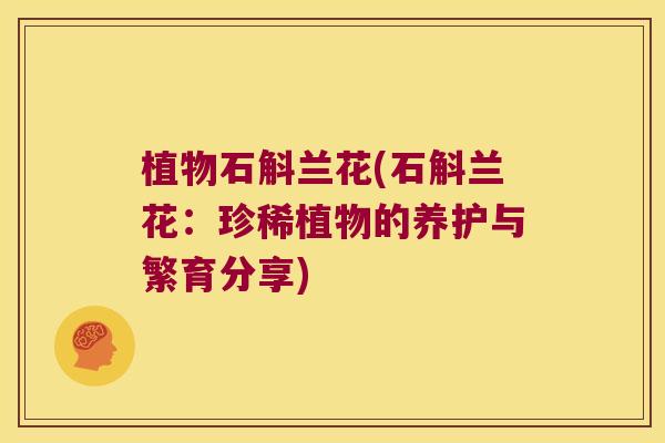 植物石斛兰花(石斛兰花：珍稀植物的养护与繁育分享)