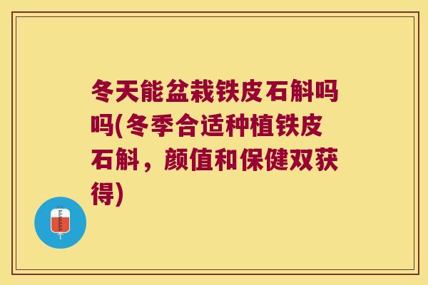 冬天能盆栽铁皮石斛吗吗(冬季合适种植铁皮石斛，颜值和保健双获得)