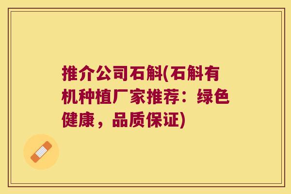 推介公司石斛(石斛有机种植厂家推荐：绿色健康，品质保证)