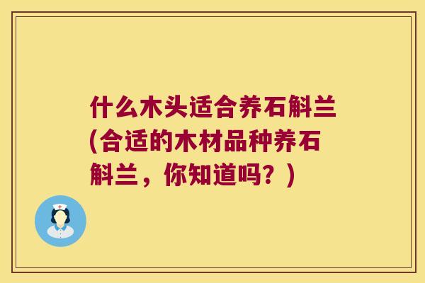 什么木头适合养石斛兰(合适的木材品种养石斛兰，你知道吗？)
